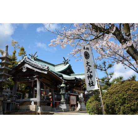 大元神社の桜