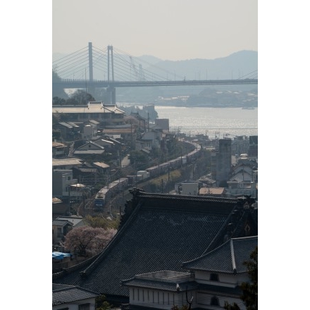 貨物列車と桜がある風景