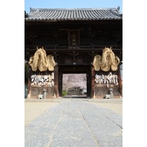 西國寺仁王門と桜