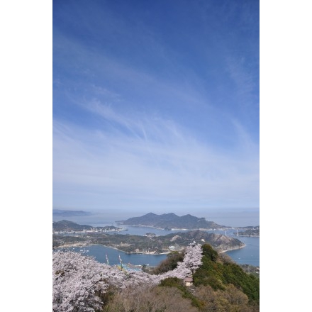 岩城島・積善山の桜風景