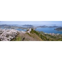 岩城島・積善山の桜風景のパノラマ