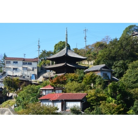 千光寺山ロープウェイから見る天寧寺三重塔