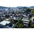 千光寺山ロープウェイから見る天寧寺一帯の風景