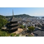 天寧寺三重塔付近から見る朝の尾道の風景