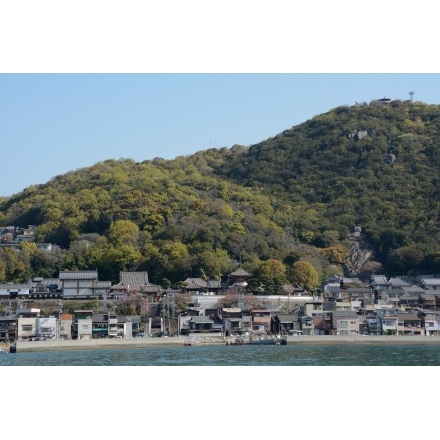 向島から見た春の浄土寺山