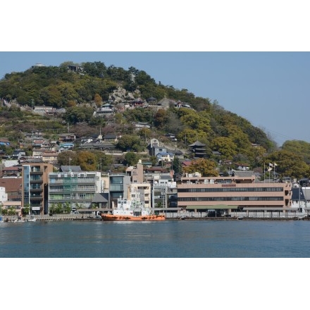 向島から見る春の千光寺山一帯