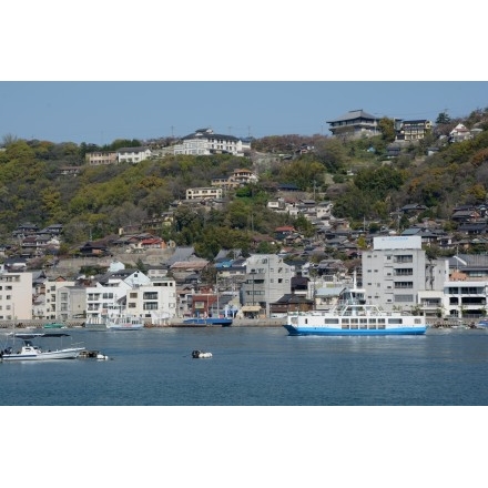 向島から見る春の千光寺山一帯