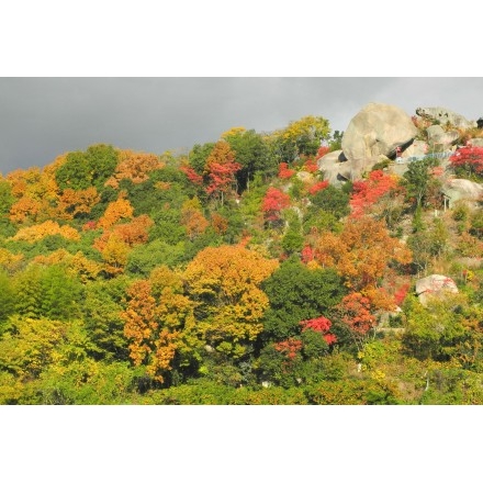 紅葉した岩屋山