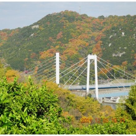 紅葉した浄土寺山