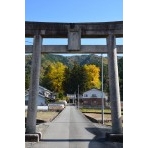 紅葉する御調町大蔵地区の艮神社