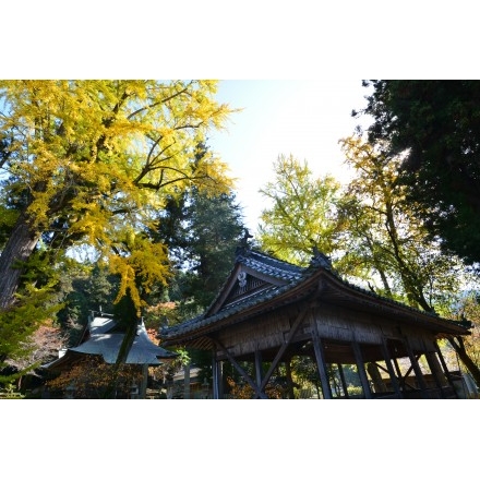 紅葉する御調町大蔵地区の艮神社