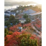 夕日に染まる秋の千光寺公園