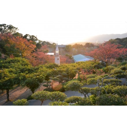 夕日に染まる秋の千光寺公園