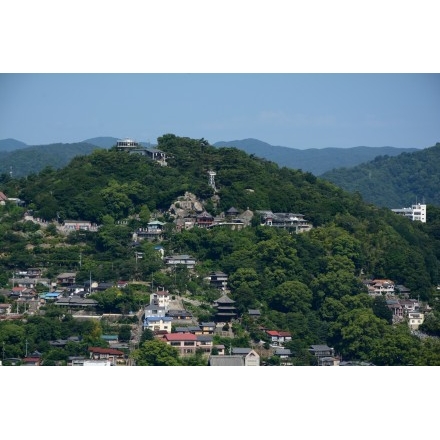 岩屋山から見る千光寺一帯