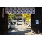 艮神社の紅葉風景