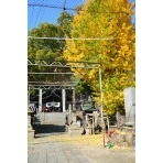 艮神社の紅葉風景