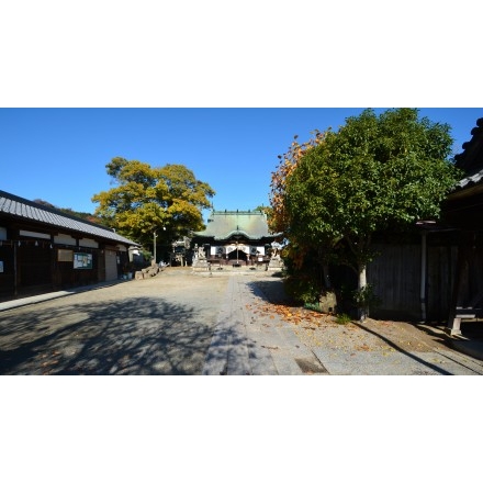 亀山八幡宮（久保八幡神社）