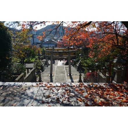 秋の亀山八幡宮（久保八幡神社）境内