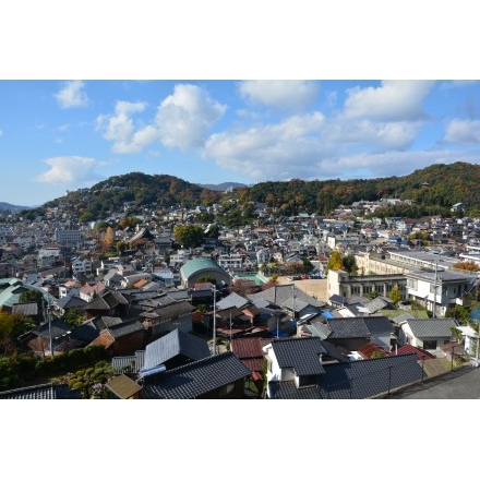 海徳寺付近から望む尾道市街地