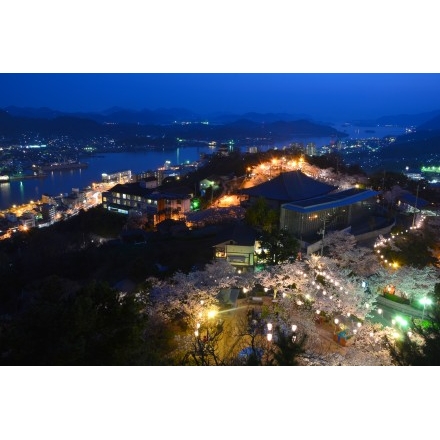 千光寺公園の夜桜と夜景