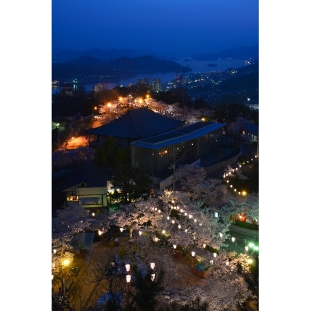 千光寺公園の桜と夕景
