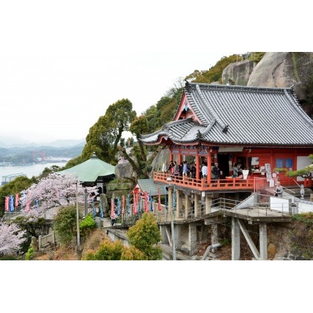 千光寺本堂と桜