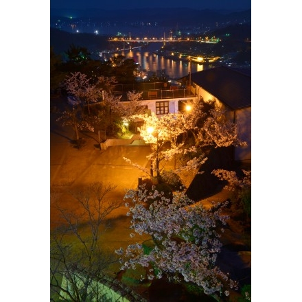 千光寺公園から見る夜桜と夜景