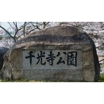 千光寺公園の碑