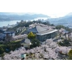 千光寺公園の桜風景