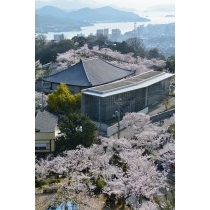 千光寺公園の桜風景