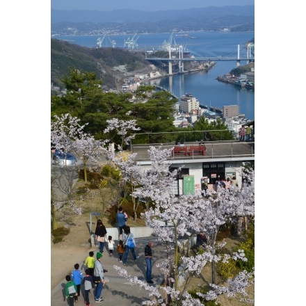 千光寺公園の桜と尾道水道