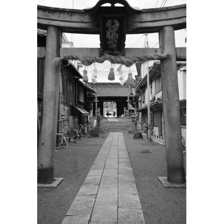 亀山八幡宮（久保八幡神社）の参道（モノクロ）