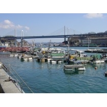 尾崎漁港から見るしまなみ海道新尾道大橋