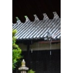 雨の慈観寺