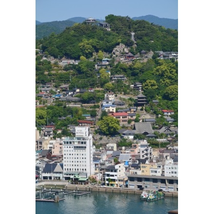 岩屋山から見た千光寺一帯