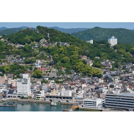 岩屋山から見た千光寺一帯