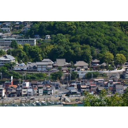 岩屋山から見た浄土寺一帯