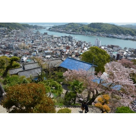 春の尾道の風景