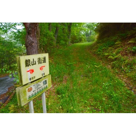 宇根の古道（旧出雲街道（銀山街道））