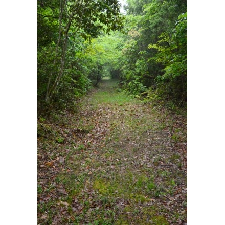 宇根の古道（旧出雲街道（銀山街道））