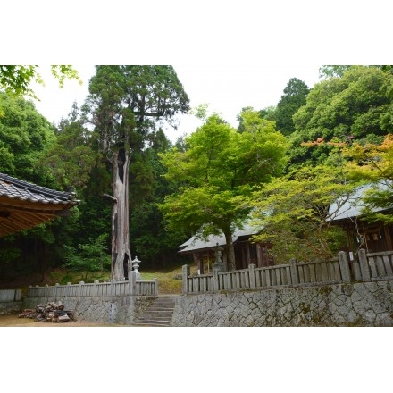 萩八幡神社