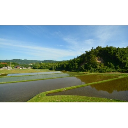 御調町の田園風景