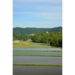 御調町の田園風景