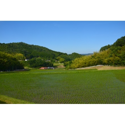 岩倉の水から見た風景