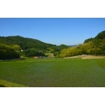 岩倉の水から見た風景