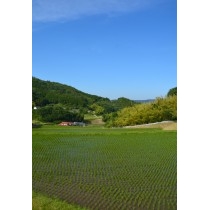 岩倉の水から見た風景