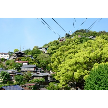 新緑の千光寺山