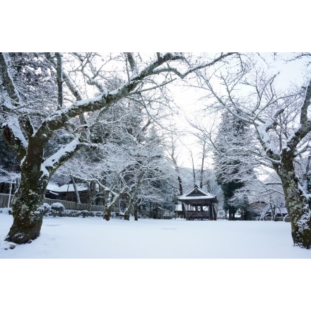 御調町大蔵地区の艮神社の雪景色