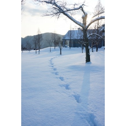 雪が降り積もった圓鍔記念公園