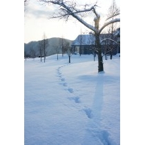 雪が降り積もった圓鍔記念公園